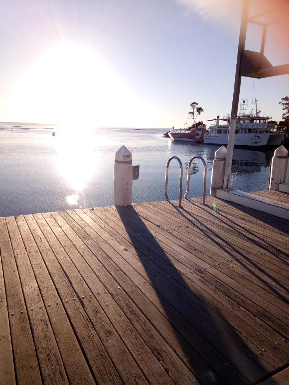 The Husky House Or Little Husky Studio Suite Huskisson Dış mekan fotoğraf